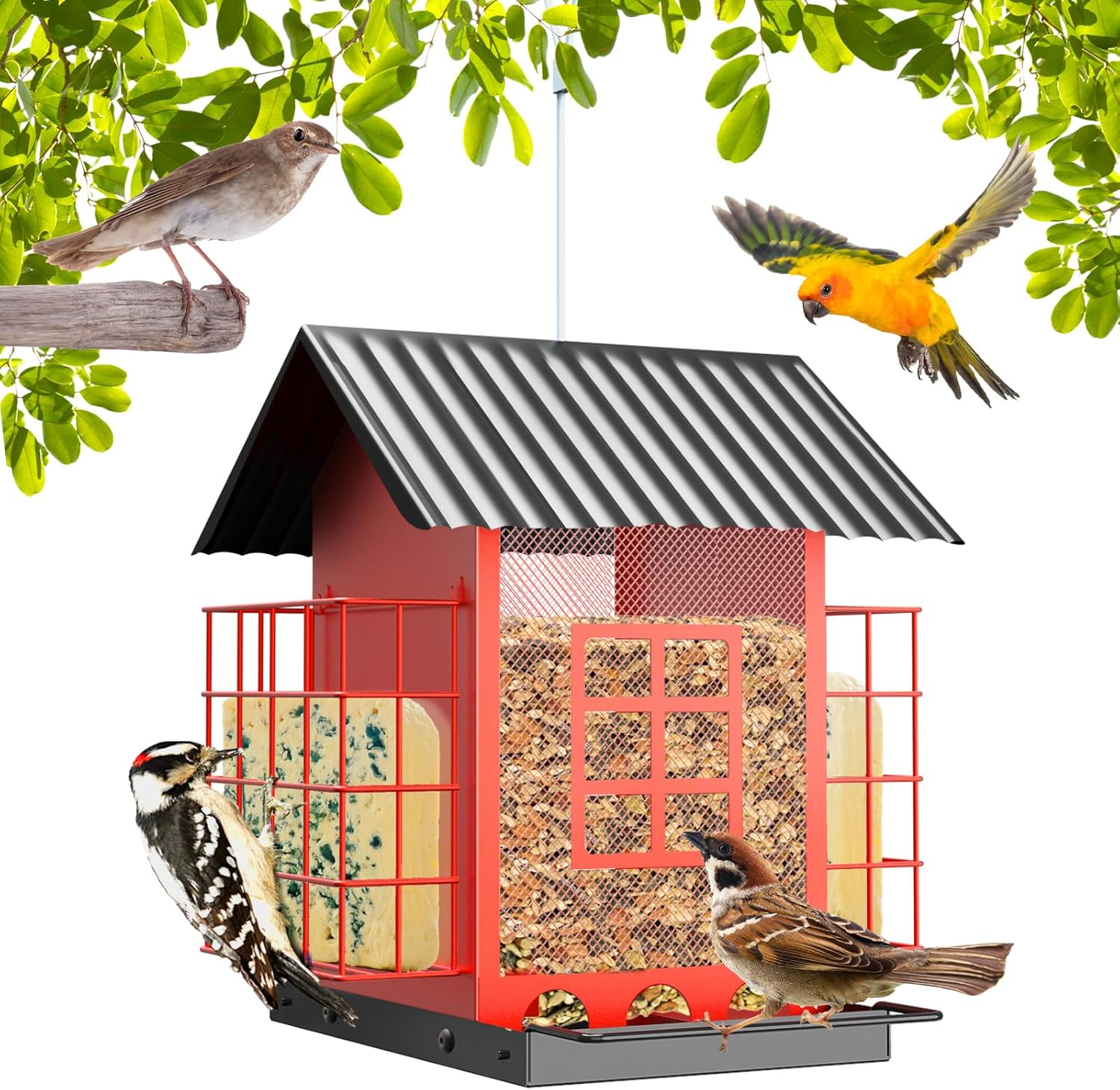 Backyard Birding & Wildlife - Bird Feeders for Outdoors Hanging, Metal Bird Feeder with Double Suet Cage Cake,6LBs Large Seed Capacity, Birdfeeders Durable & Weatherproof,Easy to Clean & Refill, Great for Attracting Wild Birds