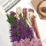 RUGBOL Dried Purple Lavender Flowers - Low Maintenance Floral Decor view 6
