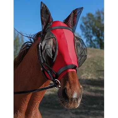 Ruggles Shetland Miniature Section A - Maschera antimosche con orecchie, in lycra elasticizzata, protezione per gli occhi di cavallo e pony, colore: verde acqua