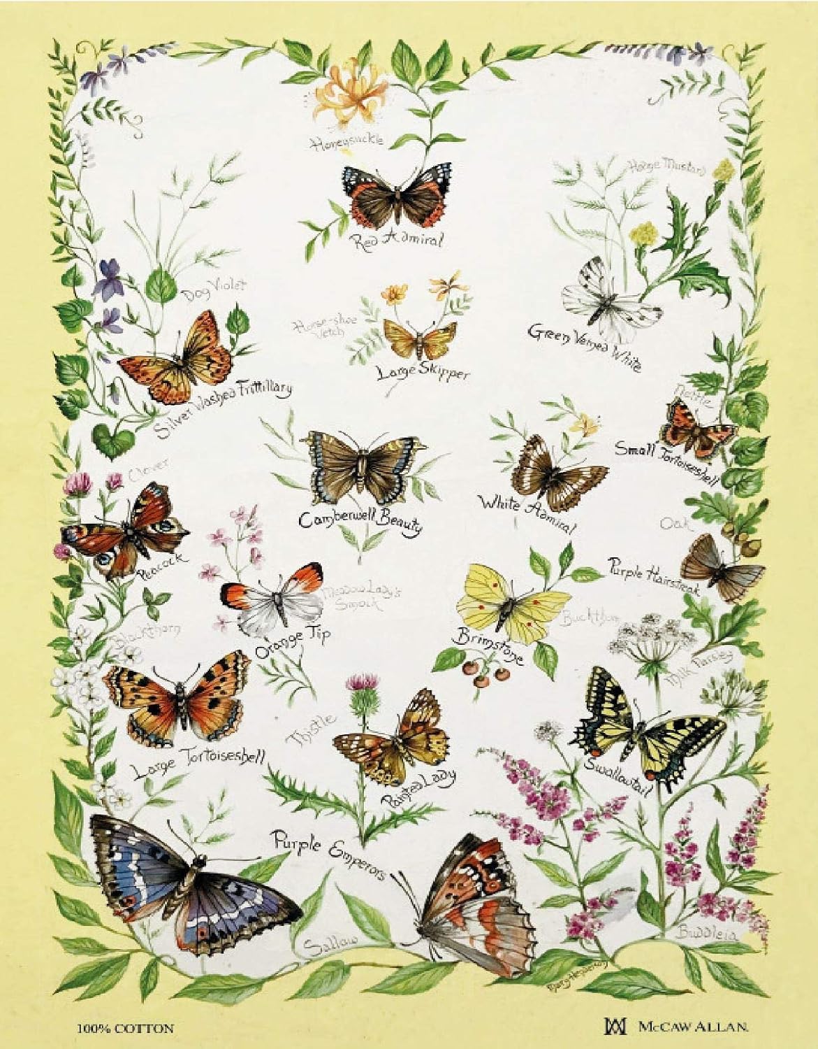 Samuel Lamont Floral Butterflies Cotton Tea Towel, Multicolor