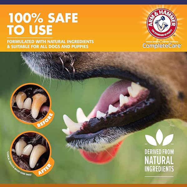ARM & HAMMER COMPLETE CARE ENZYMATIC DOG TOOTHPASTE VALUE SIZE | 6.2 OZ PEANUT BUTTER FLAVOR ENZYMATIC DOG TOOTHPASTE FOR PUPPIES | GREAT TASTING DOG TOOTHPASTE WITH ARM & HAMMER BAKING SODA