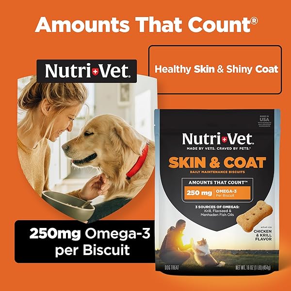 NUTRI-VET SKIN & COAT BISCUITS FOR DOGS, TASTY DOG TREAT, SKIN AND COAT SUPPLEMENT, OMEGA 3 FISH OIL, MADE WITH OMEGA 3 AND BIOTIN, FISH OIL TREAT FOR PETS, CHICKEN & KRILL FLAVOR, 16 OZ