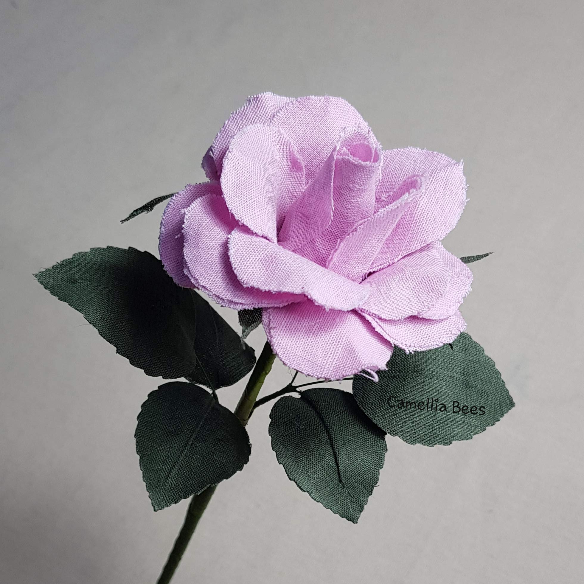 View 3