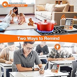 Digital Dual Kitchen Timer, 3 Channels Count