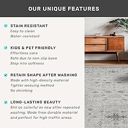 Boho Large 3x5 Entryway Rug Indoor - Washable