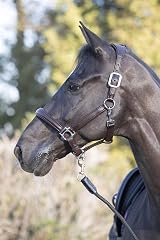 LeMieux Anatomic Headcollar Brown Padded Leather & Metal Fittings Cob view 2