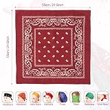 Vinuwu 12 Pack Bandana 22x22 Inch Vintage Paisley Head Scarf Nylon view 4