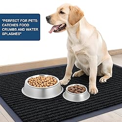 OLANLY Front Door Mat Indoor Outdoor