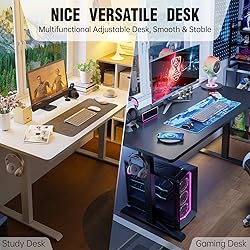 Veken 55 Inch Large Electric Standing Desk,Sit to