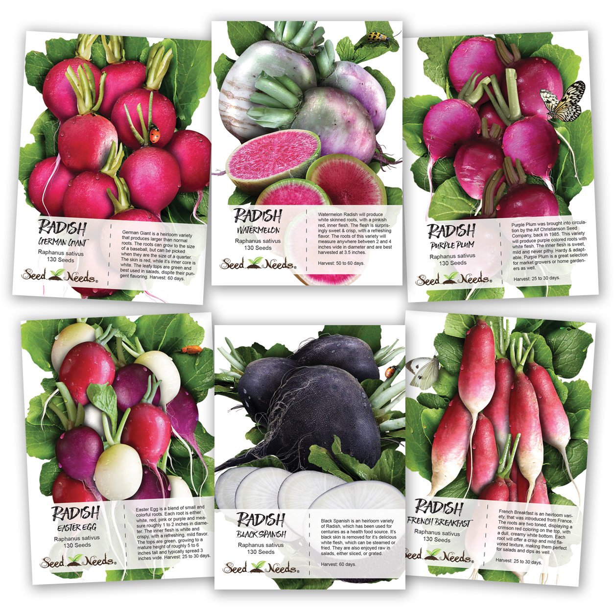 Multicolor Radish Seed Packet Collection (6 Individual