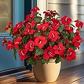 Brlita 19 Inch Artificial Fake Flowers for Outdoor,4 Pcs Red Faux Silk Petunias Spring Flowers for Outside for Indoor Porch Planter Front Door Garden Patio Window Box Home Decor