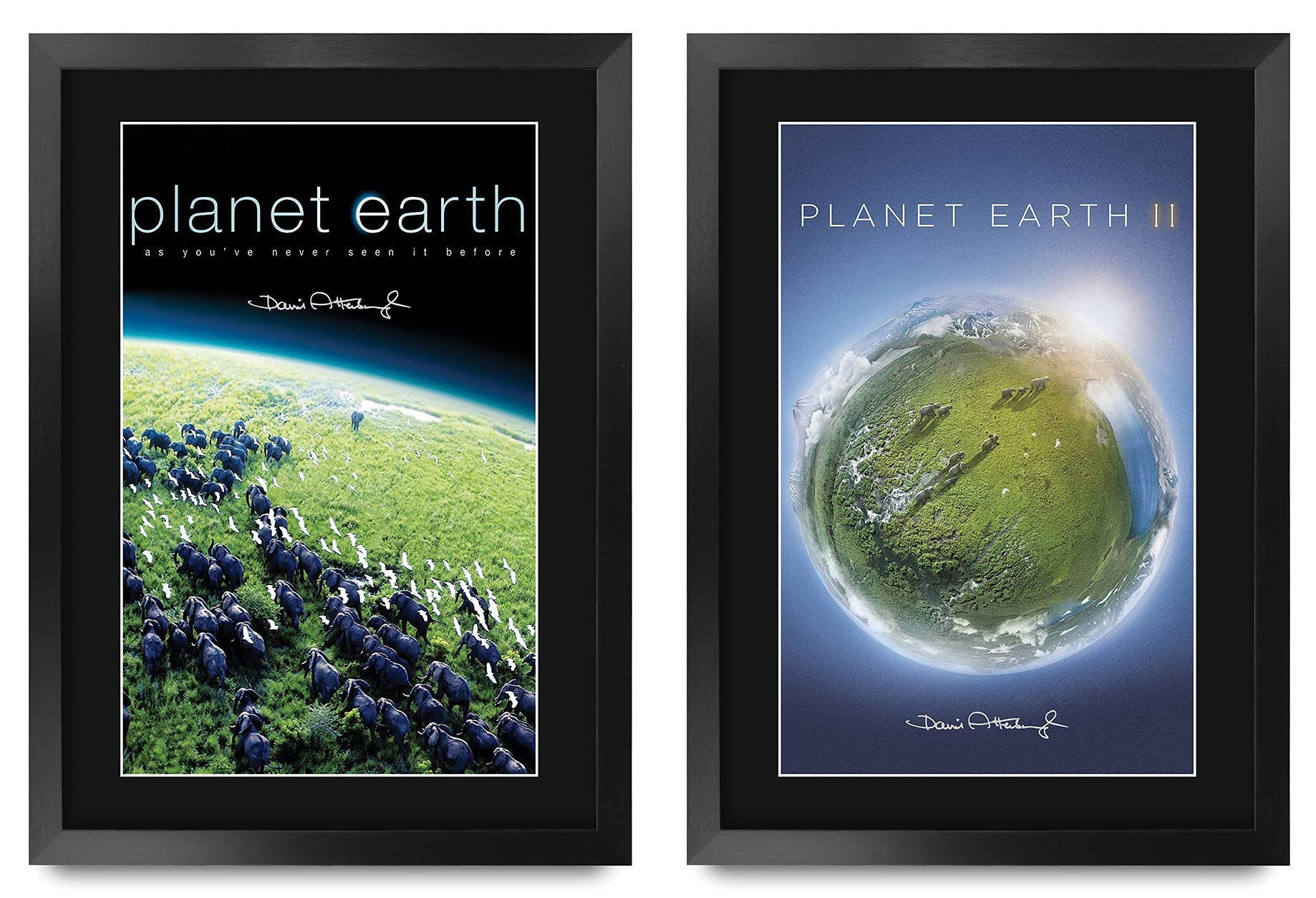 HWC Trading FR A3 Planet Earth Collection x 2 David Attenborough Gifts Printed Signed Autograph Poster for TV Memorabilia Fans - A3 Framed