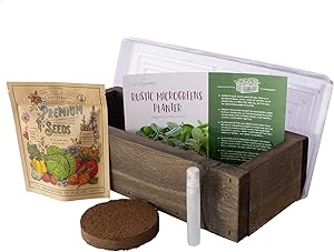 Organic Indoor Microgreens Growing Kit - with Reclaimed Barnwood Style Planter - Rich Brown - Complete Soil Based Indoor Garden Kit with Organic Purple Radish Microgreens Seeds - Rustic Kitchen Decor