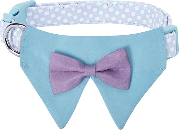 dog collar with bandana attached