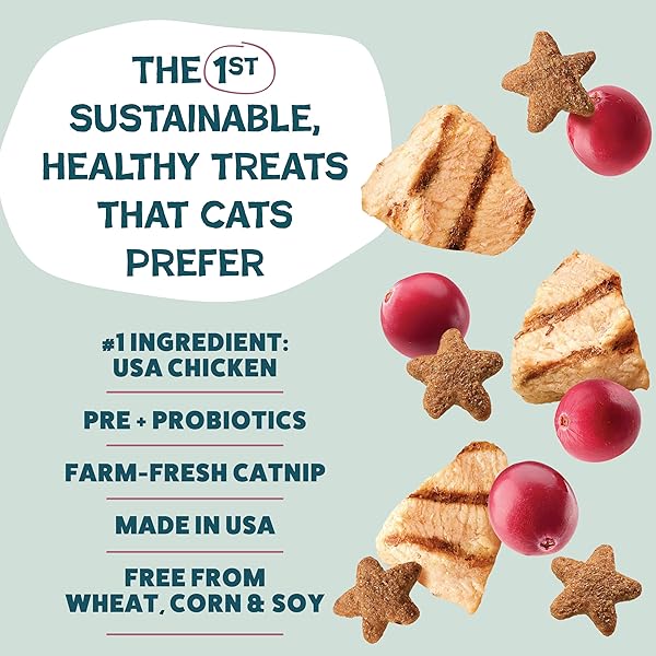 SHAMELESS PETS CRUNCHY CAT TREATS – KITTY TREATS FOR CATS WITH DIGESTIVE SUPPORT, NATURAL KITTEN TREATS WITH REAL CHICKEN, HEALTHY FLAVORED FELINE SNACKS – CRAN YOU SAY CHICKEN, 1-PK