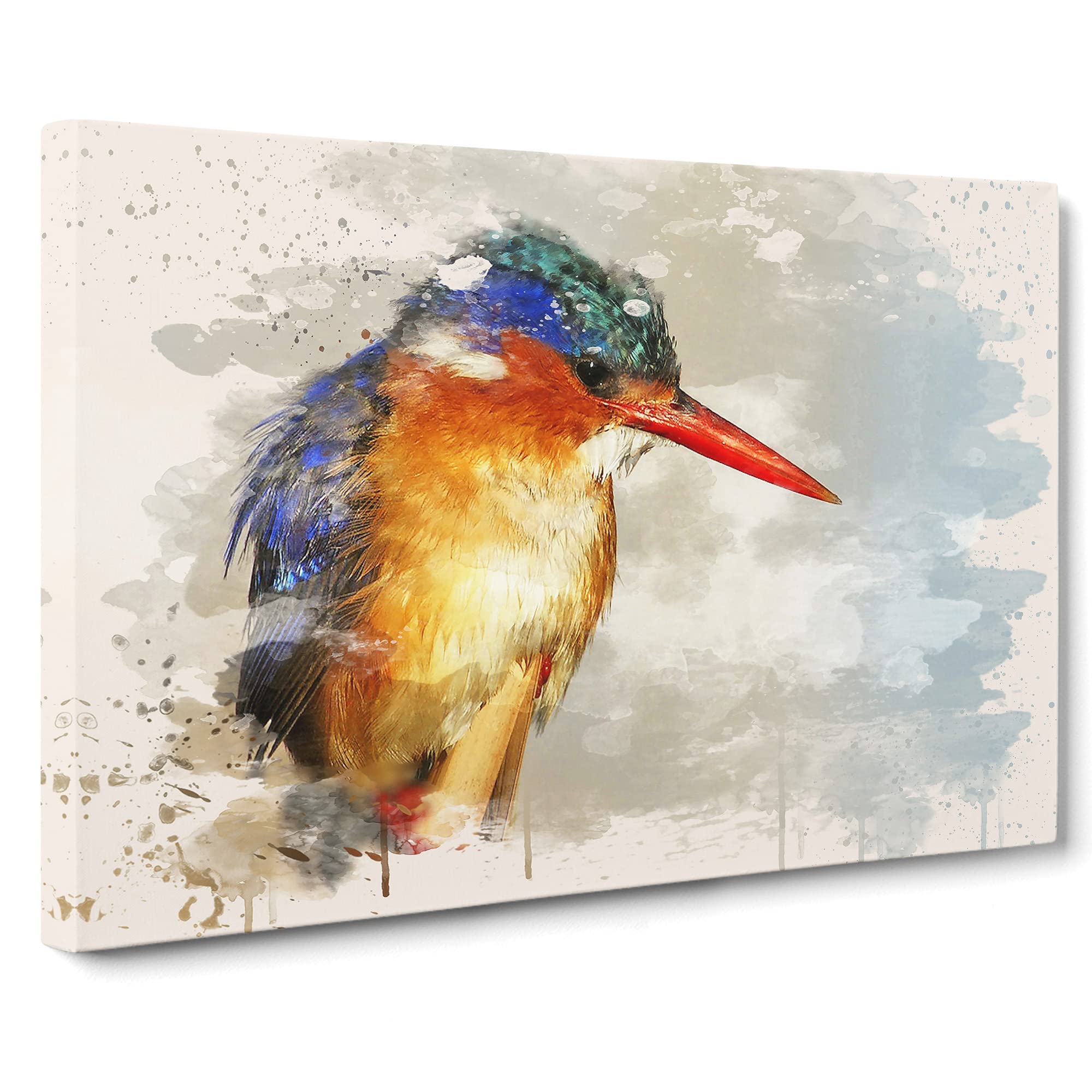Kingfisher Bird Modern FC Canvas Print | Gallery Wrapped 30mm Frame Wall Art | 20x14 inches | Ready to Hang | Modern Animals Picture | Living Room Bedroom Lounge Office
