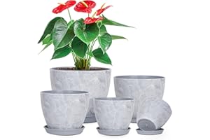 LOKEISNA 5 Pcs Plant pots, 7.5/6.5/5.7/4.9/4.1 inch Pots for Plants, Flower Pot Indoor Modern Decorative Plant Pot, Plant Pots Indoor with Drainage and Saucer for All House Plants, Spray Spots(5)