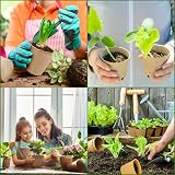 LATERN 100Pcs 8CM Biodegradable Seedling Pots with 100 Plant Labels view 7