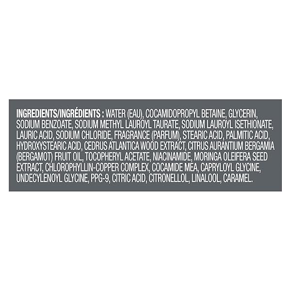 DOVE MEN + CARE BODY WASH COASTAL CEDAR & BERGAMOT PLANT-BASED MOISTURIZING BODY WASH FOR MEN, 26OZ