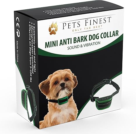 owning a saint bernard