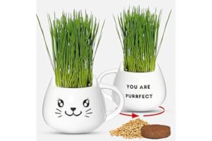 ZESTIGREENS Organic Cat Grass Growing Kit - Promotes Natural Hairball Control and Digestive Wellness - Includes Organic Seed Mix, Nutrient-Rich Soil, and Stylish White Cat Planter