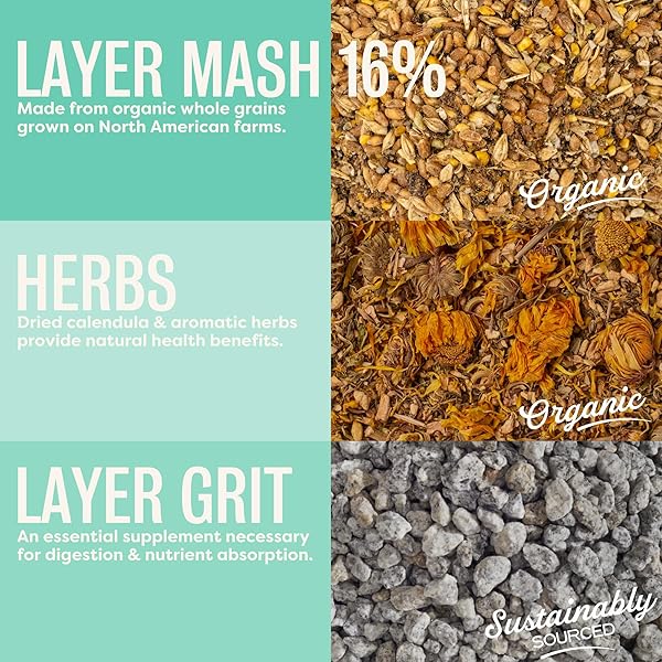 SCRATCH AND PECK FEEDS YOU ARE WHAT YOUR ANIMALS EAT NATURALLY FREE ORGANIC HERBS, LAYER GRIT, FEED FOR CHICKENS DUCKS – NON-GMO PROJECT VERIFIED, SOY CORN