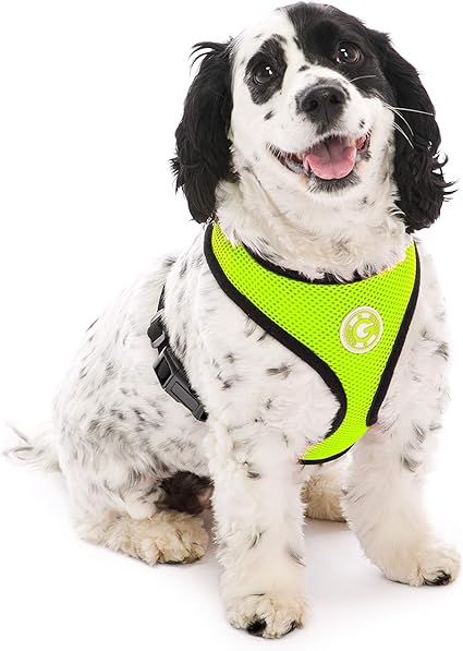 Amazon Com Gooby Soft Mesh Harness Small Dog Harness With