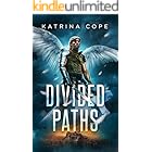 Divided Paths: Book 4: Angel (Afterlife)