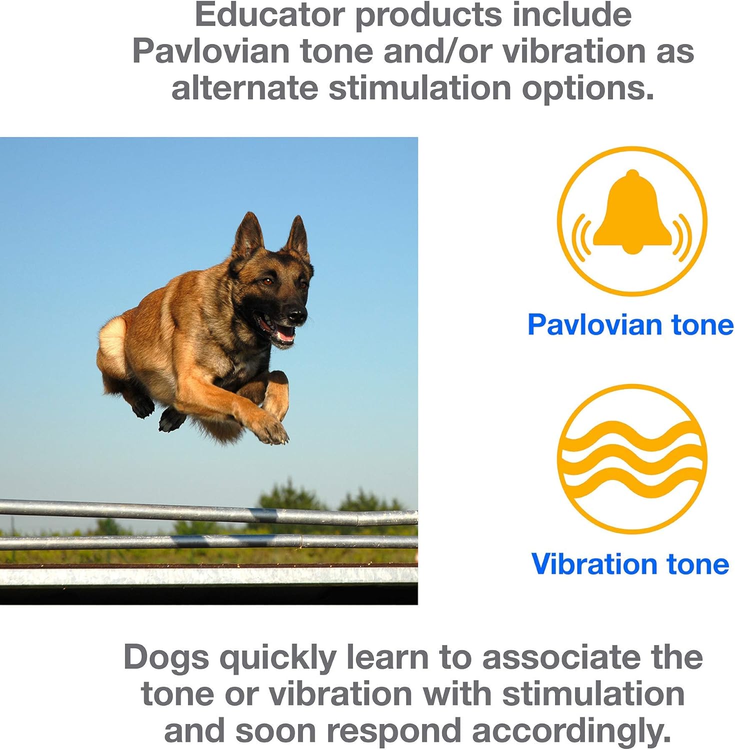 k9 handler tactical e collar