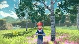 Nintendo NIN Pokémon-Legenden Arceus 12 view 7