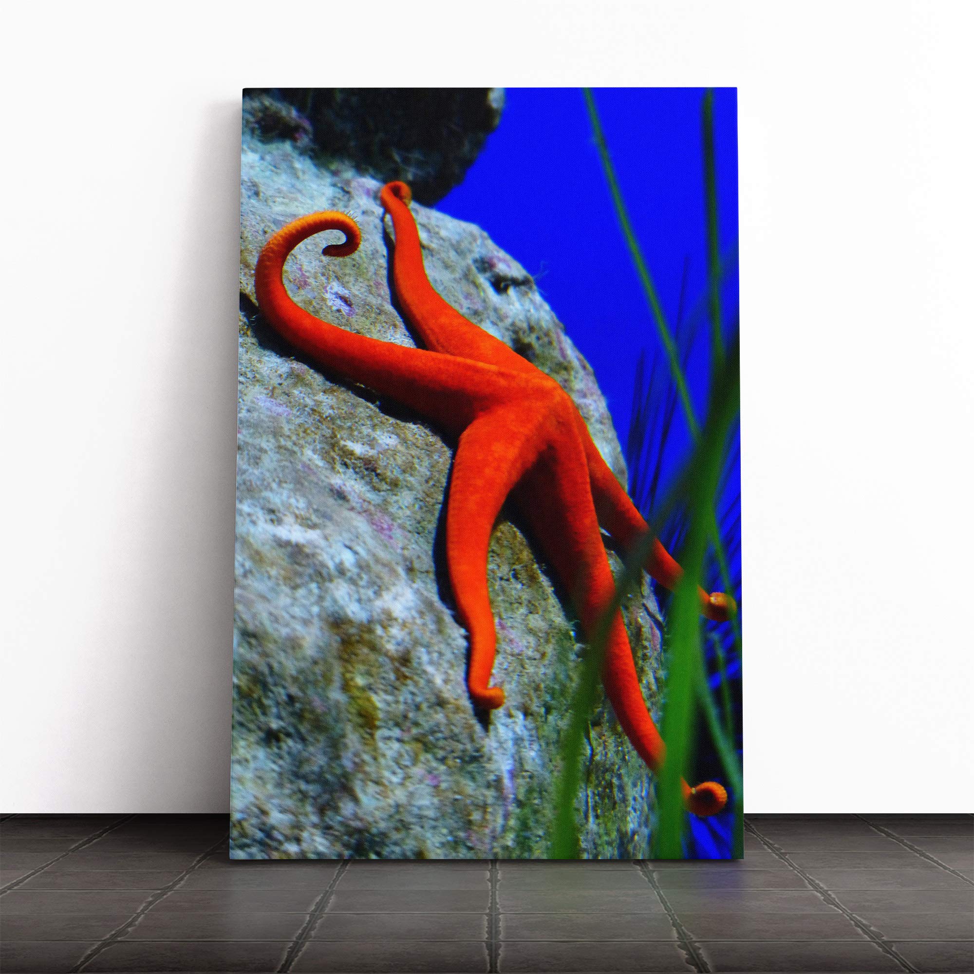 Starfish Vol.3 Canvas Print | Gallery Wrapped 30mm Frame Wall Art | 20x14 inches | Ready to Hang | Modern Animal Picture | Living Room Bedroom Lounge Office