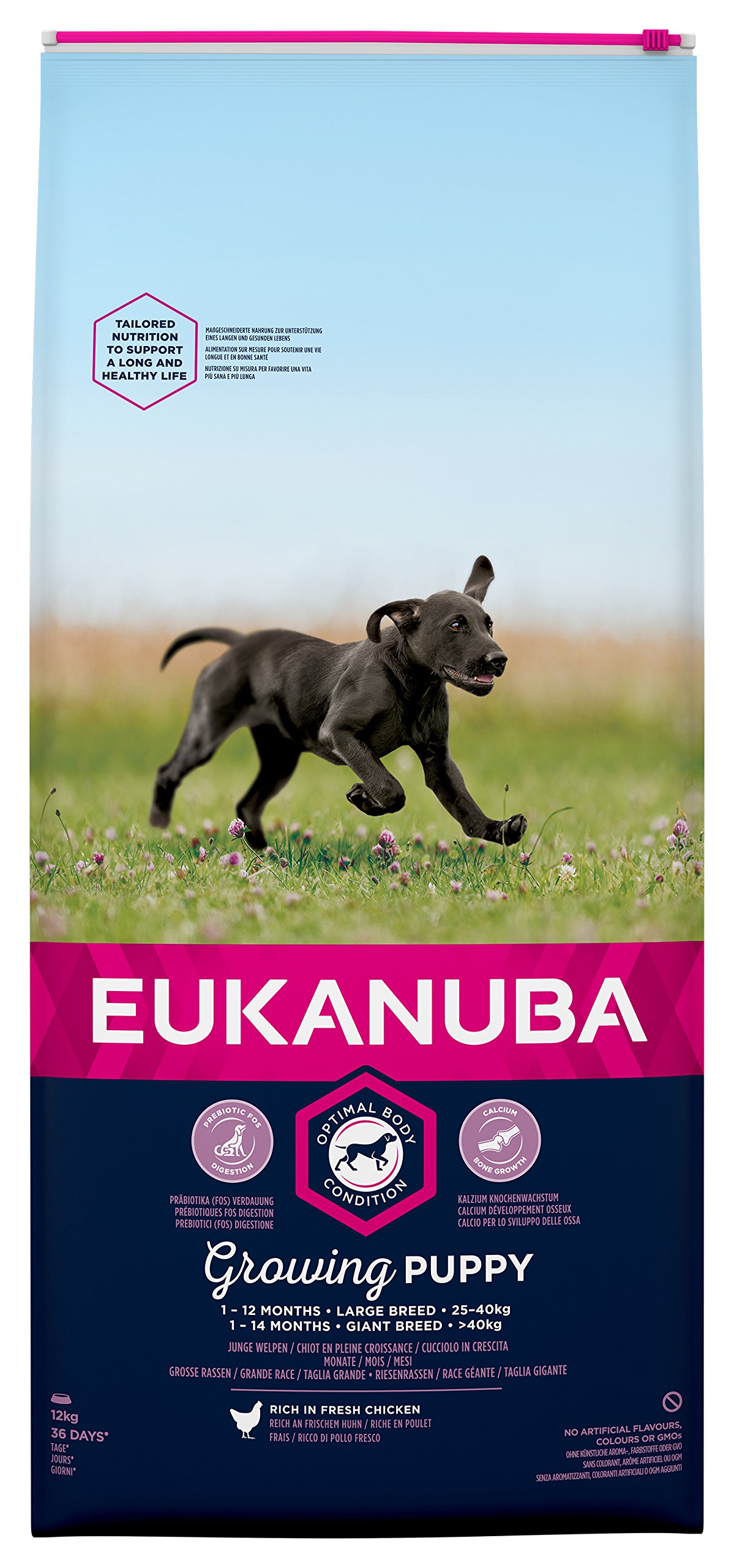 Eukanuba Puppy Dog Food for Large Dogs Rich in Fresh Chicken, 12 kg
