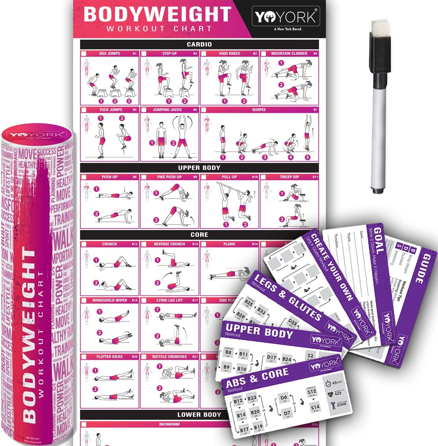 Yoyork Workout Posters for Dumbbell Training - Laminated Home Gym Workout Poster with 10 Workout Cards for Free Weight, Body Building Exercise - 17" x 45"