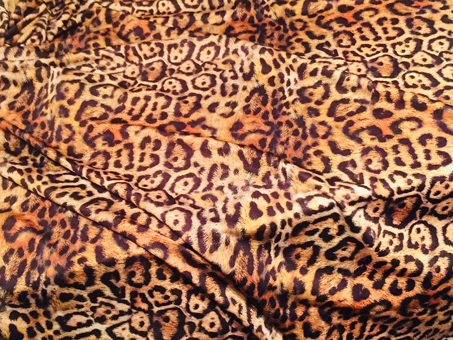 Leopard Panther Animal Print Lycra Fabric - 4 Way Stretch Polyester Jersey Material for Bikini, Dress Making, Home Decor -175cm Extra Wide (2 METRES)