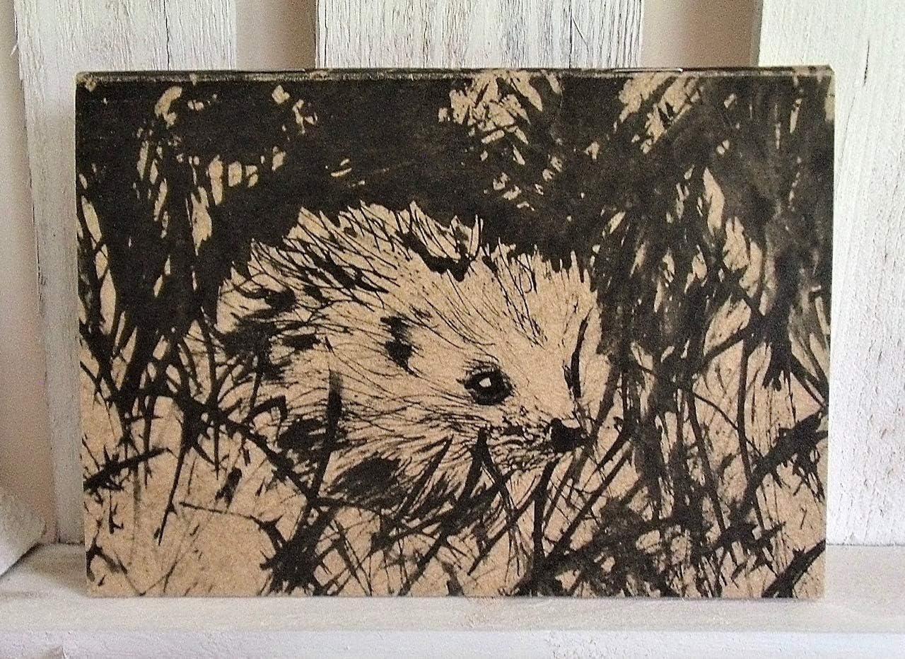 Hedgehog Sketchbook A5 Notebook Wildlife Gift Recycled Environmentally Eco Friendly Useful