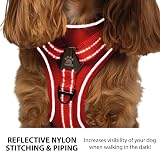 Elite Paws UK Premium Metal Buckle Dog Harness Red Small view 4