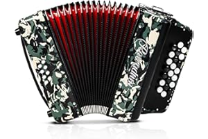 ROWADTIM Accordion - 22 keys 8 bass, lightweight piano accordion for beginners, vibrant design for beginners and adults for easy learning (8 Bass, Multicolor)