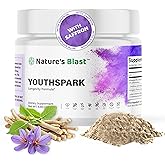 NATURES BLAST YouthSpark Longevity Supplement with Ashwagandha Root Extract (600mg), Astragalus & Cinnamon - Fruit Flavor Powder, 30 Servings, Vegan, Non-GMO