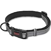 HALTI Comfort Collar - Nylon and Neoprene-Padded Comfy Dog Collar, Reflective, Easy to Fit & Use. Colourful Two-Tone Design, 