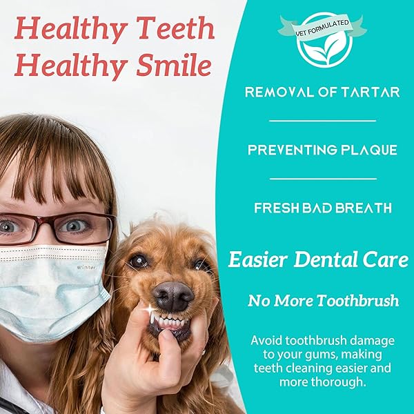 RUIDEHUT DOG TEETH CLEANING DENTAL POWDER – PLAQUE AND TARTAR REMOVAL – CLEAN TEETH, FRESHEN BREATH – CONTAINS PROBIOTICS – ADVANCED DENTAL CARE FOR DOGS AND CATS – 30 PACKS (90G)