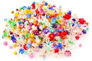 Wowagoga 600 Pieces Mini Natural Dried Flowers Colourful Dried Little Star Flowers Heads Real Dried Pressed Flowers for Jewelry Candle Card Making DIY Resin Ornaments