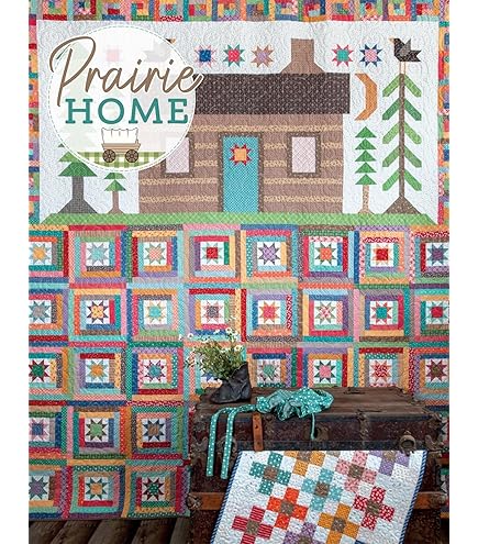 Amazon.com: The Quilted Snowman Quilt Pattern by Lori Holt of Bee