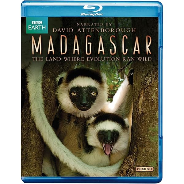 その他 Wildlife Specials [DVD] Amazon.com: Wildlife Specials DVD Collection Box Set : David