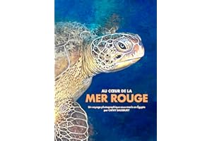 Au cœur de la MER ROUGE: Un voyage photographique sous-marin en Égypte (VOYAGES PHOTOGRAPHIQUES SOUS-MARINS) (French Edition)