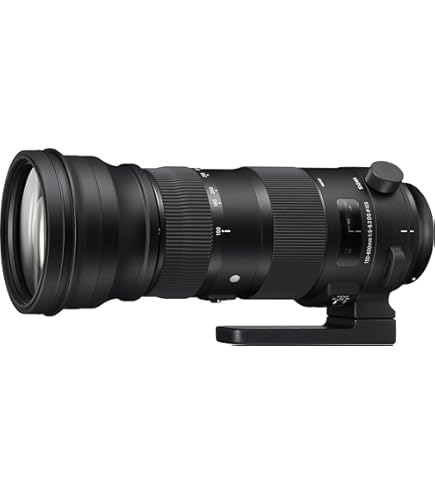 Amazon.com : Sigma 150-600mm 5-6.3 Sports DG OS HSM Lens for Nikon
