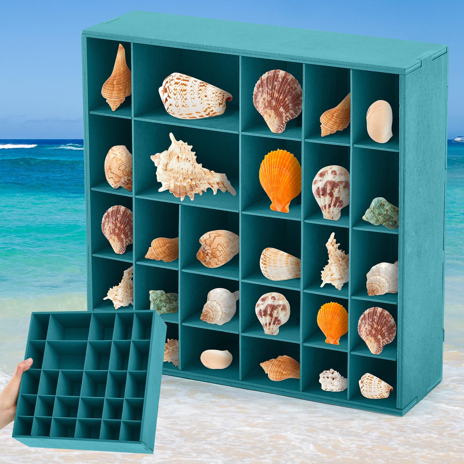 Photo 1 of Threehoney Seashell Holder - Wooden Turquoise Shadow Box with 28 Grids Memory Display Case - Ocean Themed, Coastal Room Decor Storage Organizer for Shells, Beads, Treasures, 9.8x9.8x3 Inch