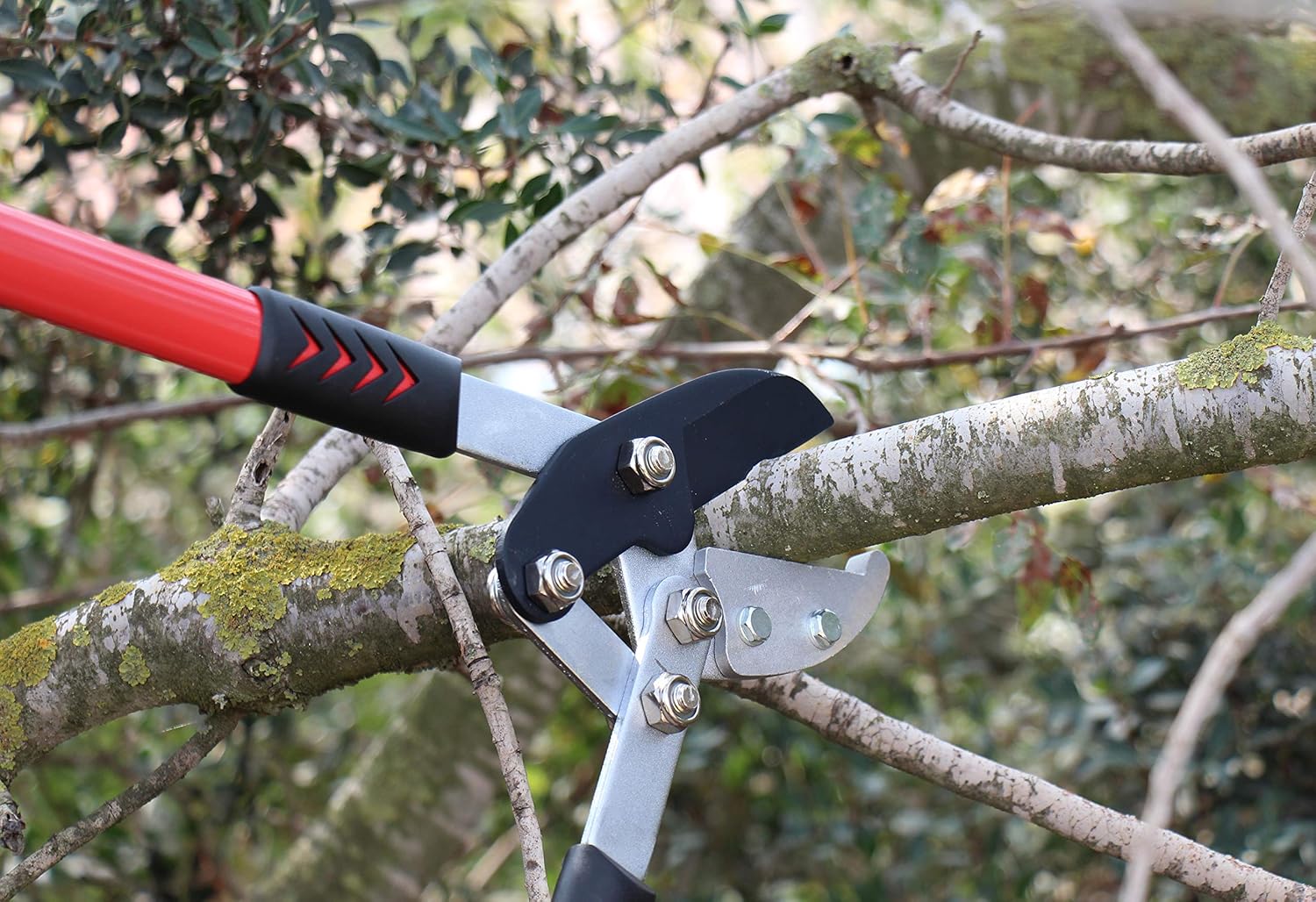 TABOR TOOLS GG12A Anvil Lopper with Compound Action, Chops Thick Branches with Ease, 30 Inch Tree Trimmer, Branch Cutter with 2 Inch Clean Cut Capacity.: Home Improvement