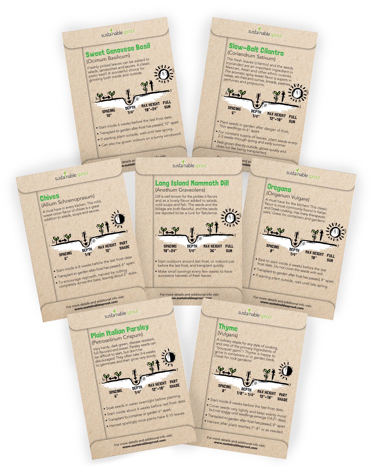 Culinary Herb Seeds for Planting Variety 7 Pack