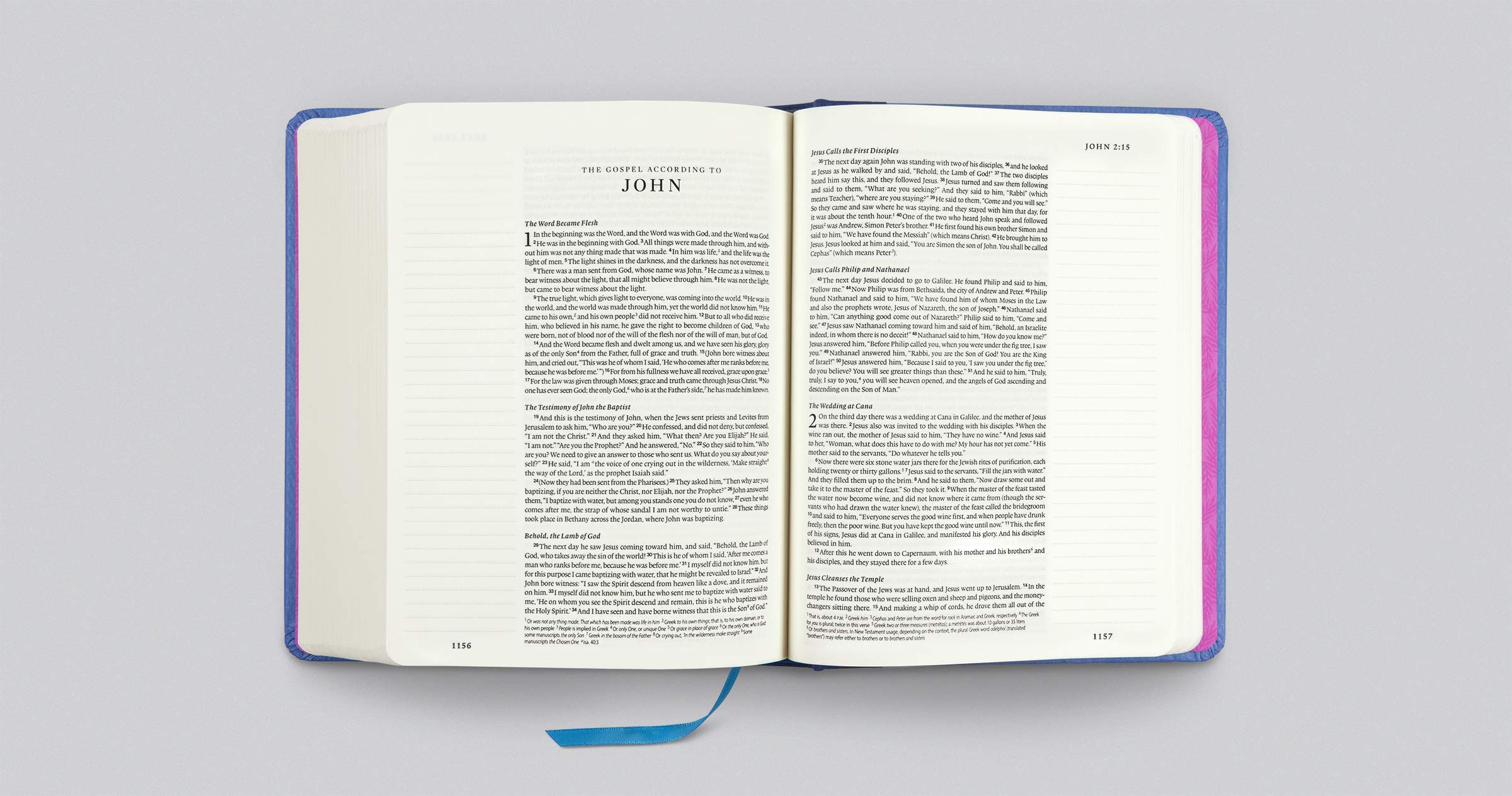 ESV Single Column Journaling Bible, Artist Series (Hardcover, Jess Phoenix, Garden): Holy Bible, English Standard Version ESV Single Column Journaling Bible, Artist Series (Hardcover, Jess Phoenix, Garden): Holy Bible, English Standard Version Hardcover