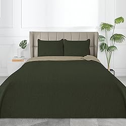 Easy-Going Twin Size Reversible Quilt Set with 1